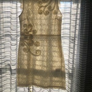 Darling brand ruffle embroidery lace dress